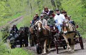 Fête du Cheval